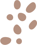 Elementos_cci_43
