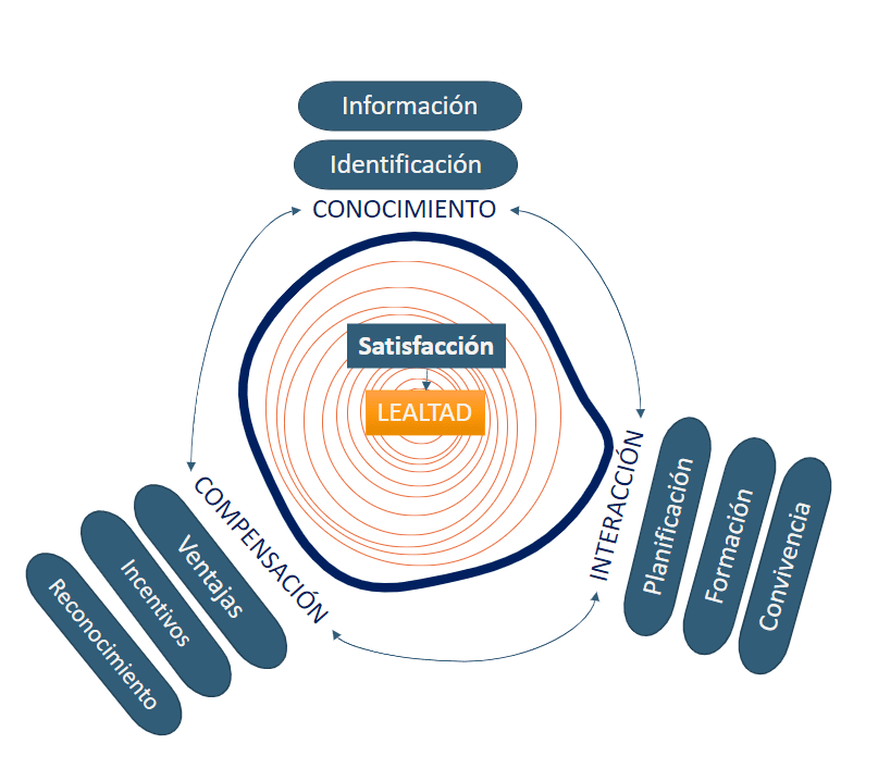 MicrosoftTeams-image (11)